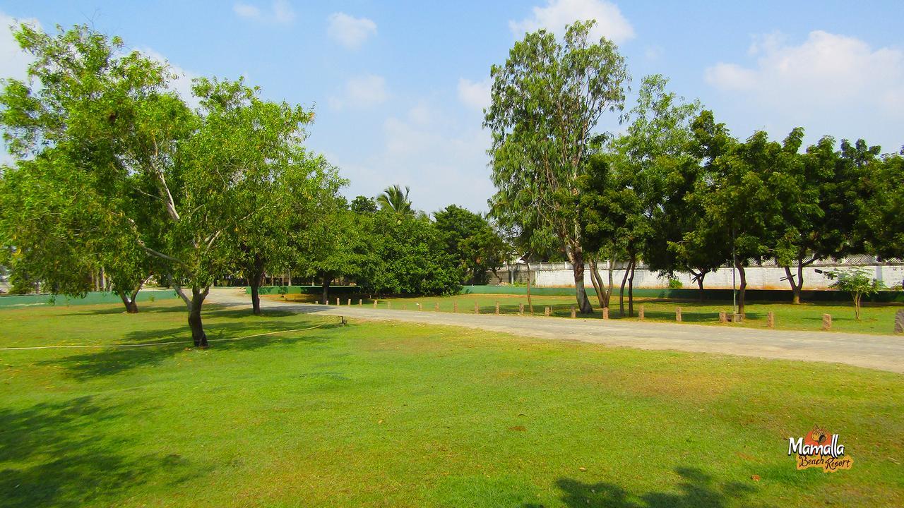 Mamalla Beach Resort Mahabalipuram Zewnętrze zdjęcie
